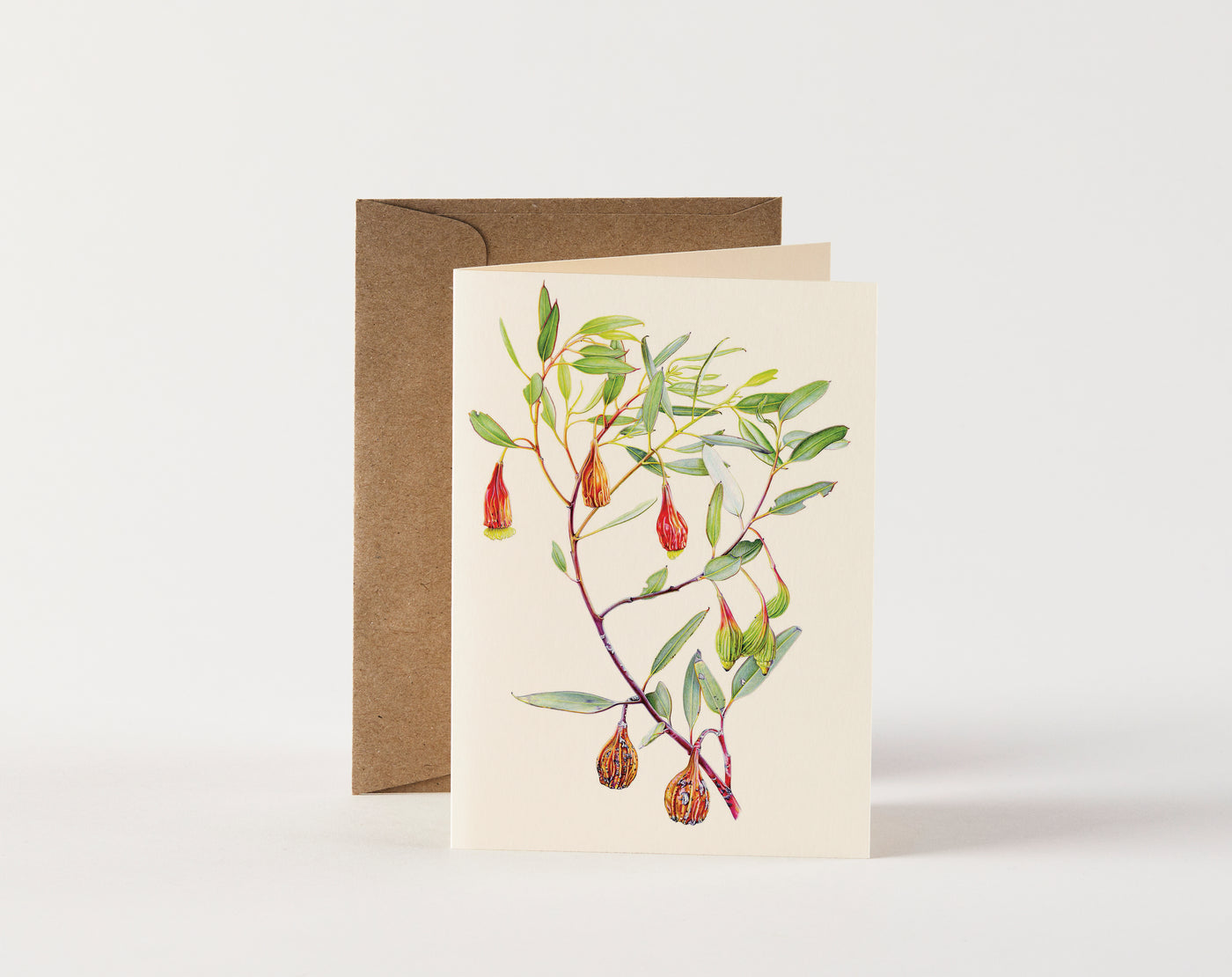 Card - Eucalyptus Forrestiana by Ellen