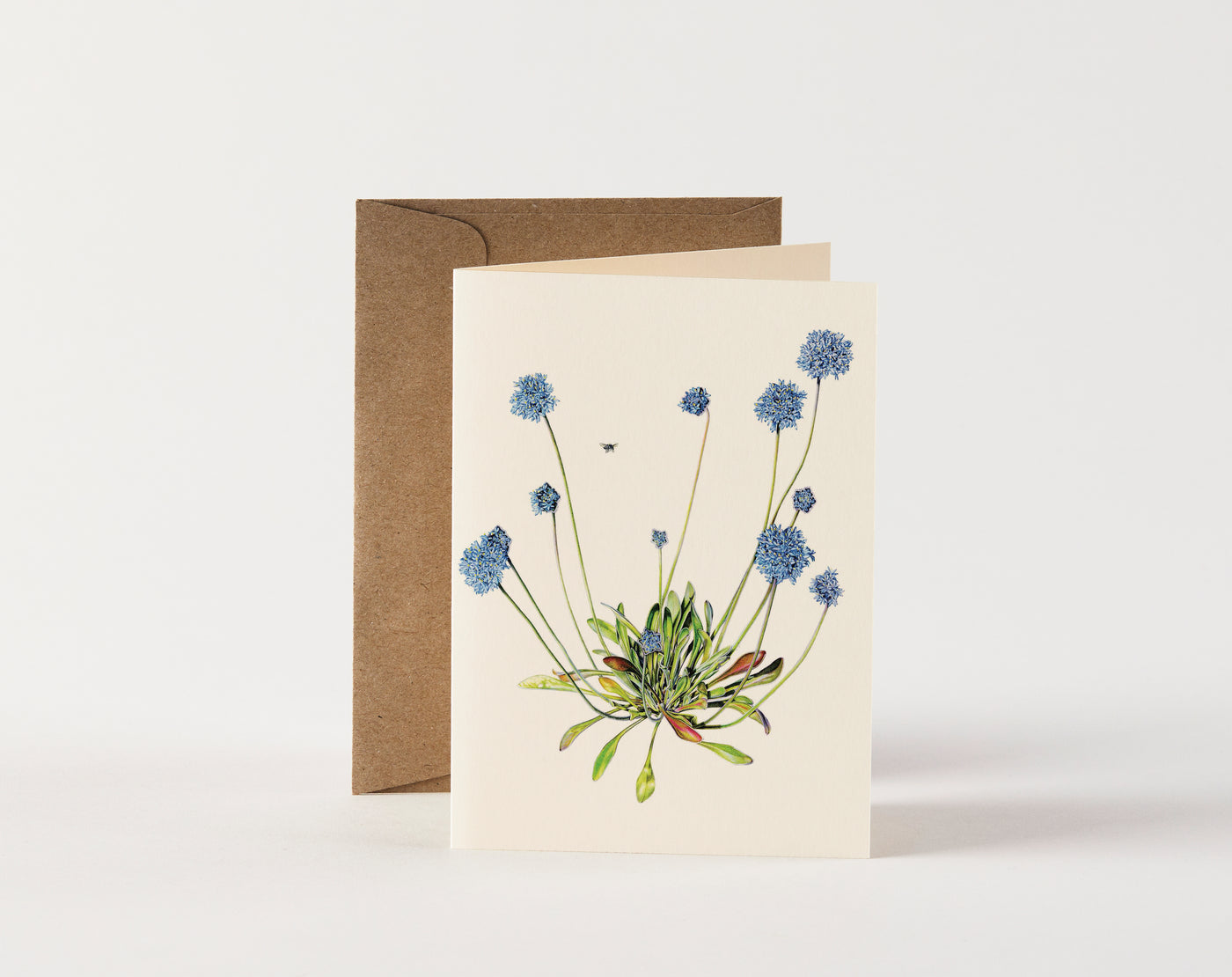 Card - Brunonia Australis by Ellen