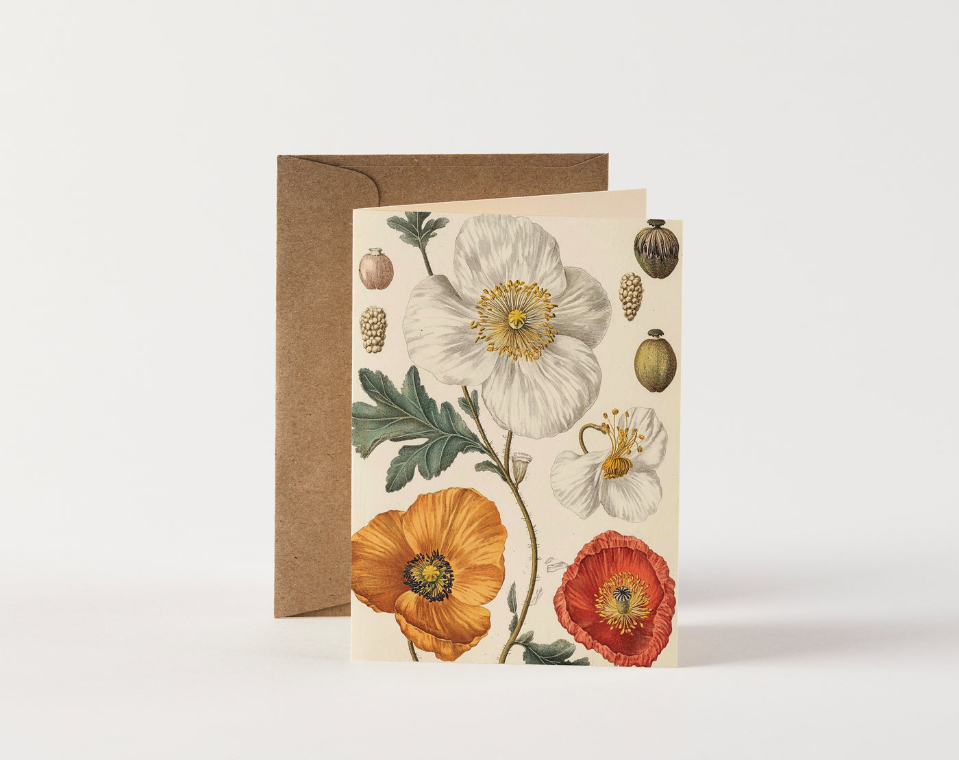 Card - Orange, Red & White Poppies