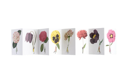 POSTCARD BOOK - IN BLOOM