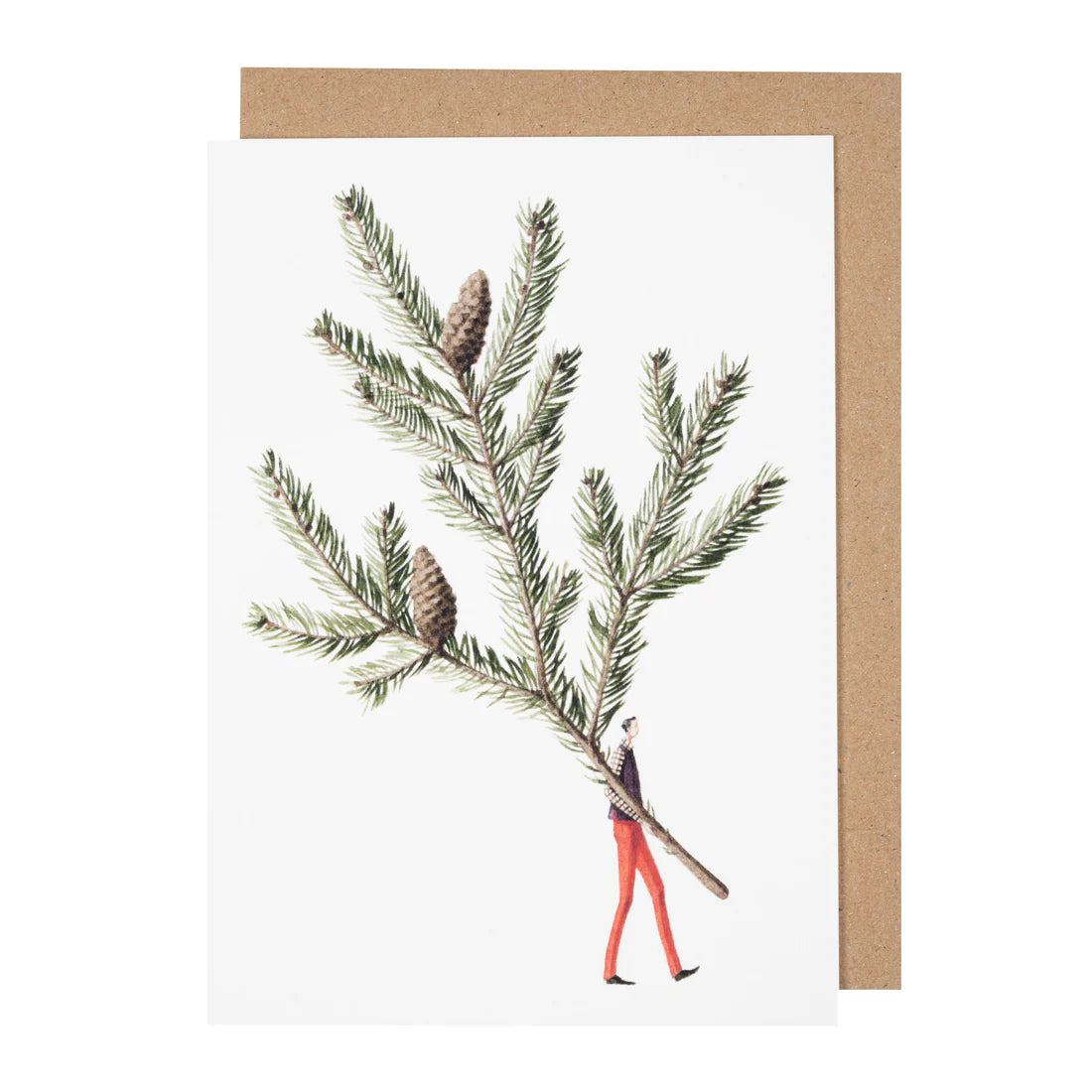 GREETING CARDS 10 PACK Christmas  Spruce & Eucalyptus