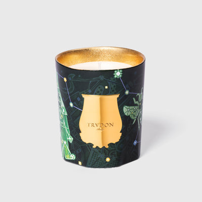 Fir Candle