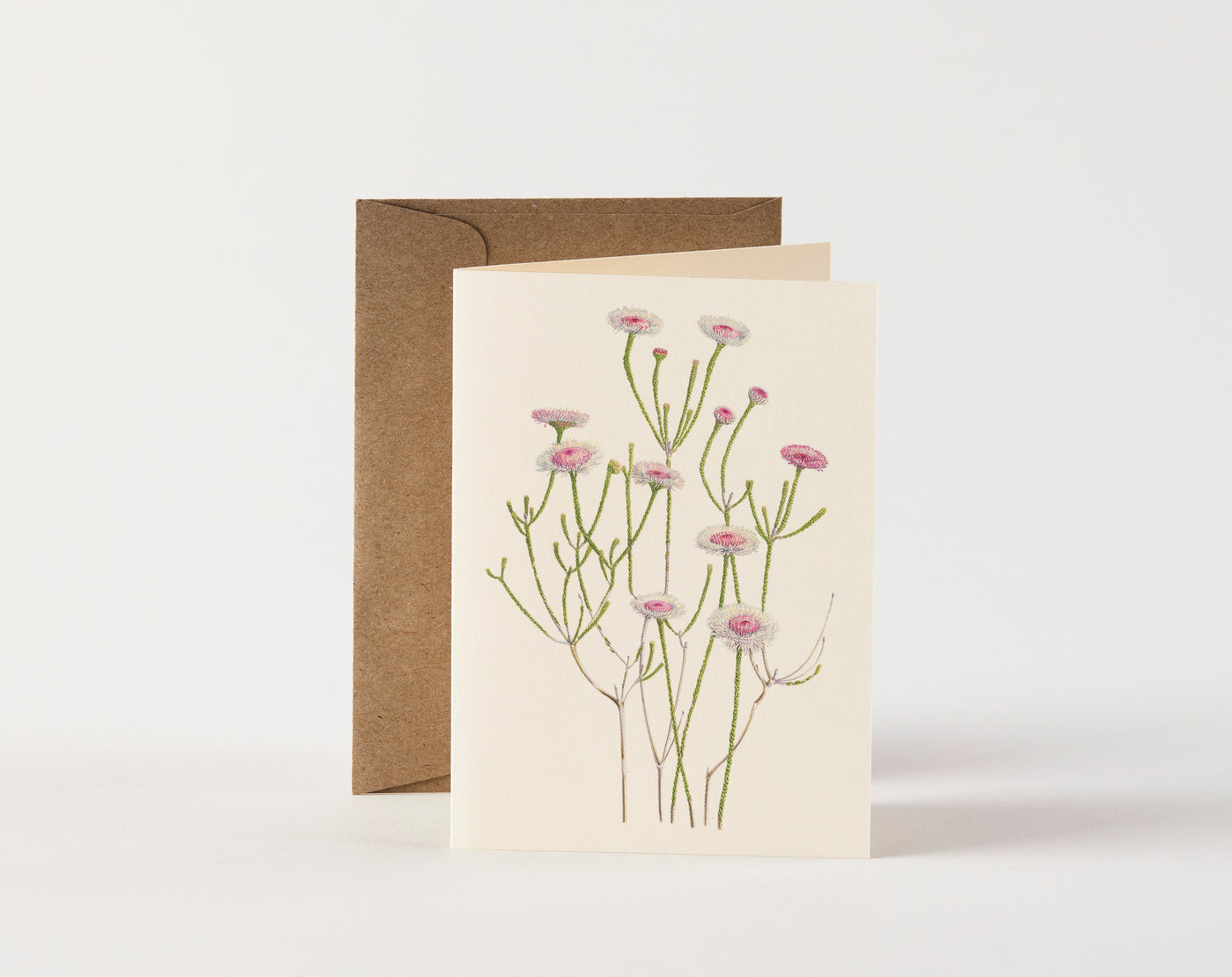 Card - Albany Daisy by Ellen