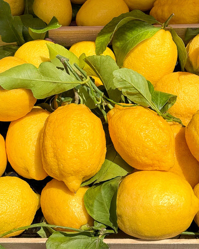 Citrus Riviera
