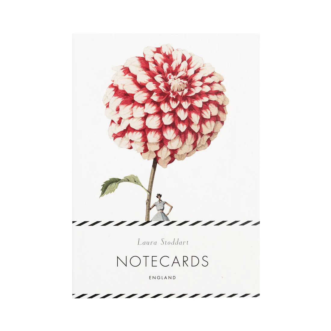 NOTECARD - DAHLIAS  BOXED SET
