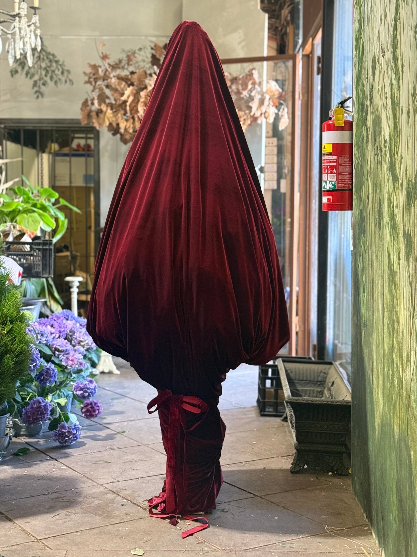 The Christmas Bloom Surprise