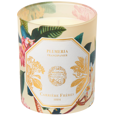 Frangipani Candle