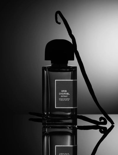 Gris Charnal Extrait