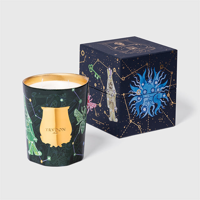 Fir Candle