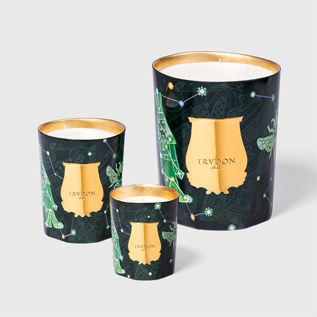 Fir Candle