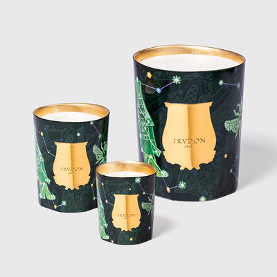 Fir Candle