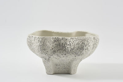 Conch Bowl Salt Crust