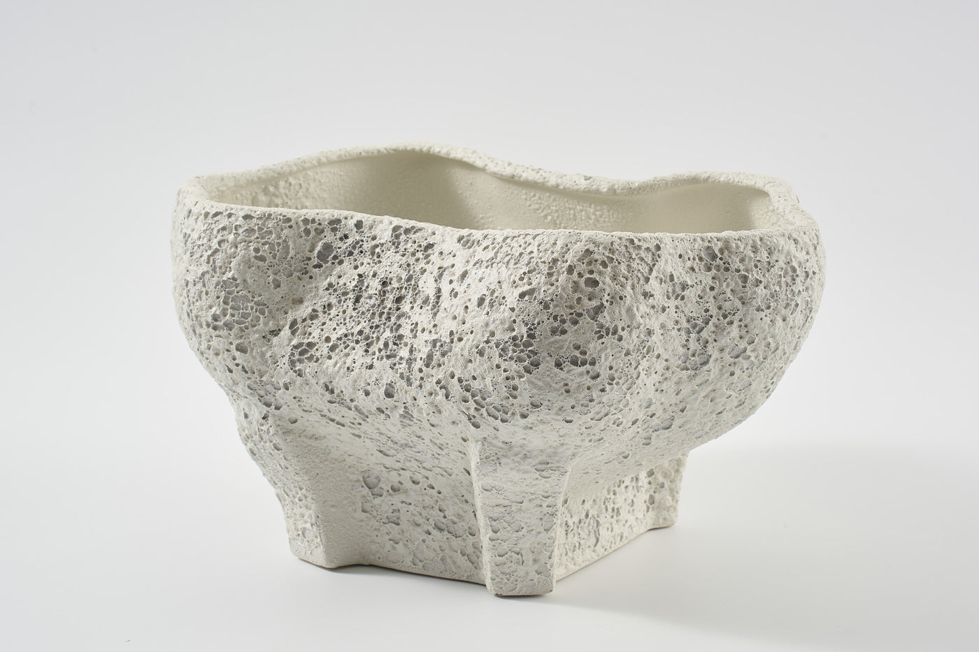 Conch Bowl Salt Crust