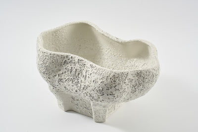 Conch Bowl Salt Crust