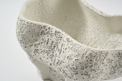 Conch Bowl Salt Crust