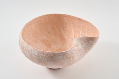 Nebula Bowl Salmon Brush