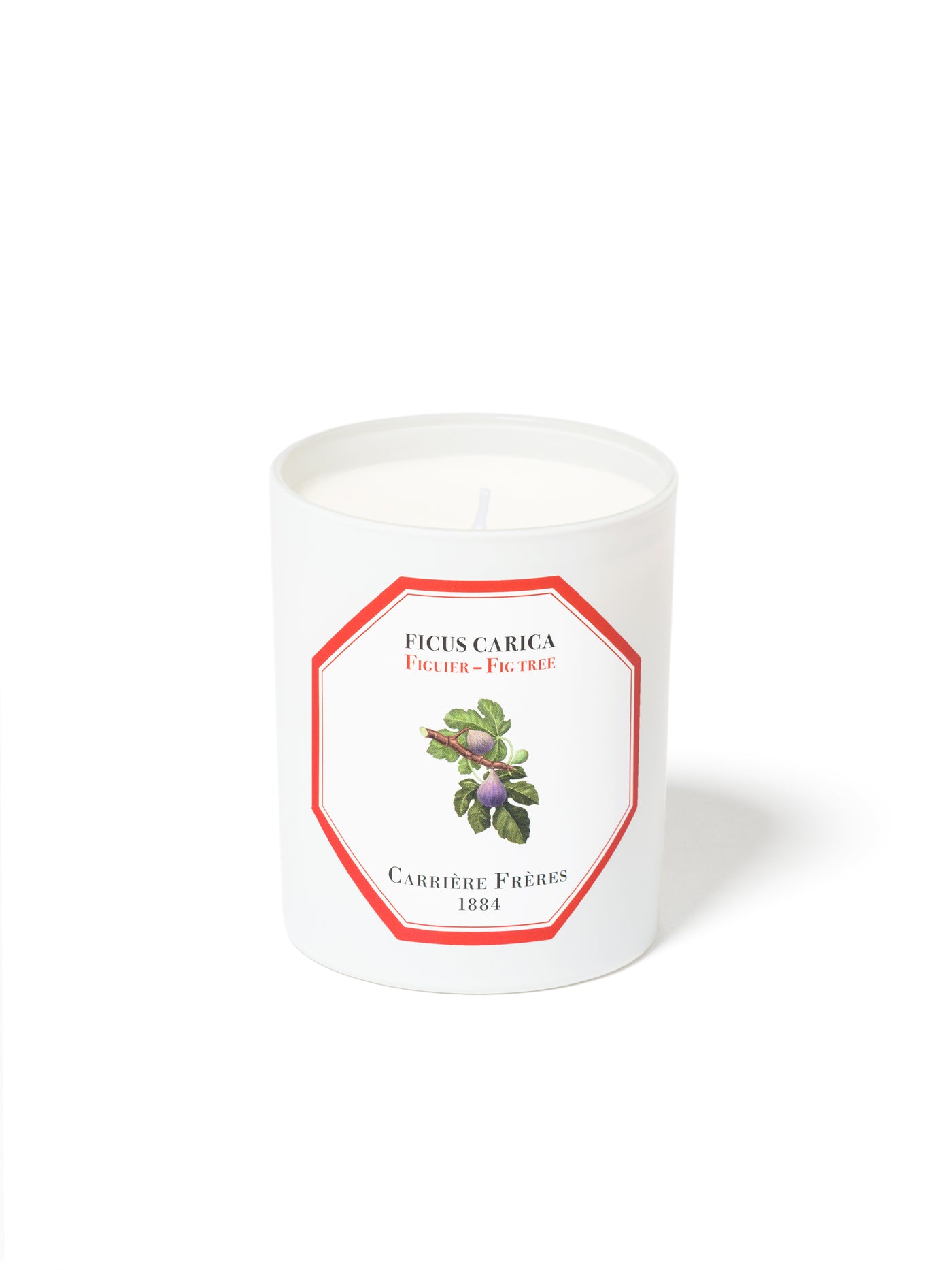Carriere Freres Scented Fig Tree Candle